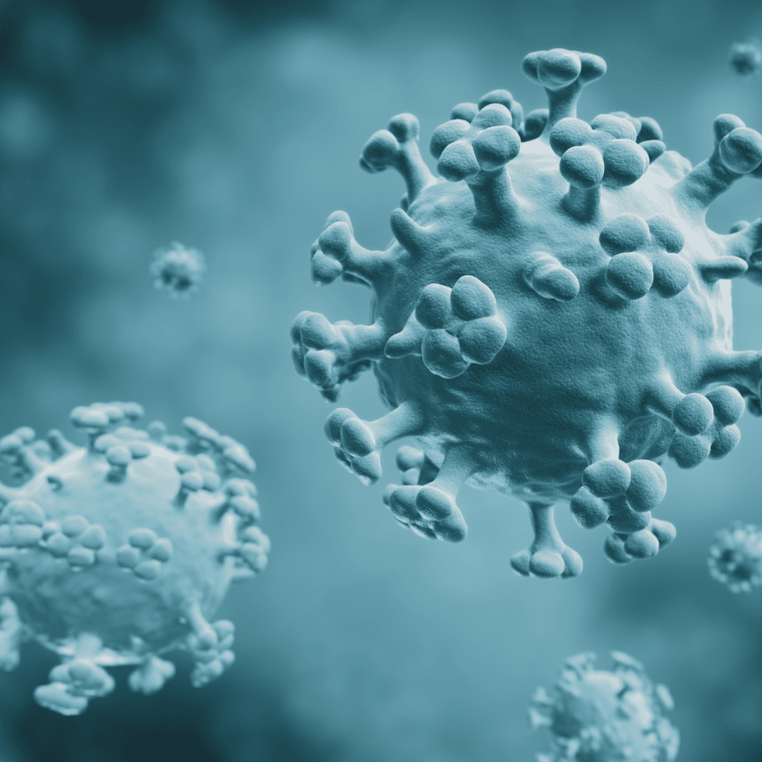 Vaccination contre la grippe